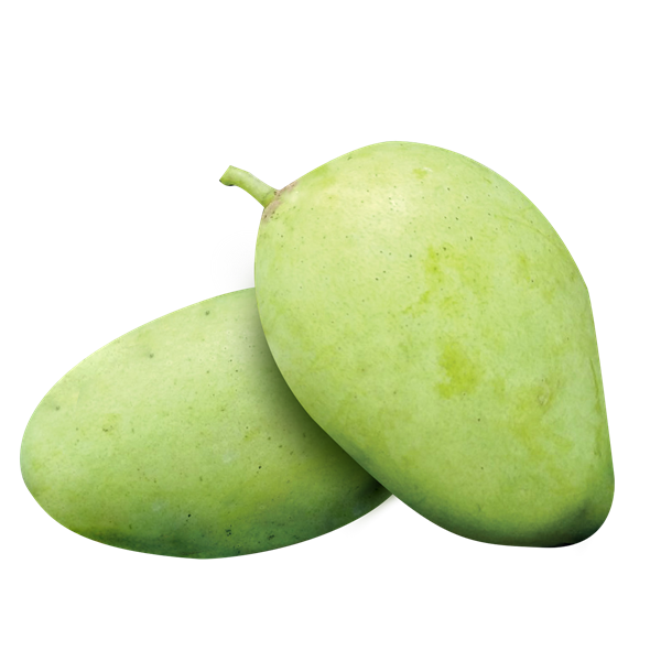 21dedd1d7e164fa183ccc9f82a27178e